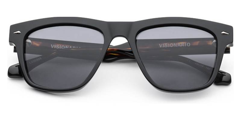Visionario Kant